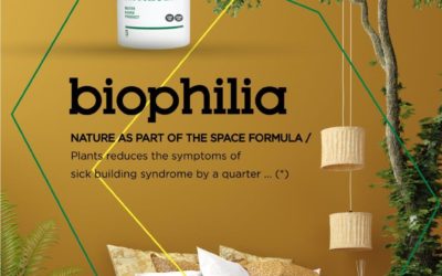 Biophilic Design