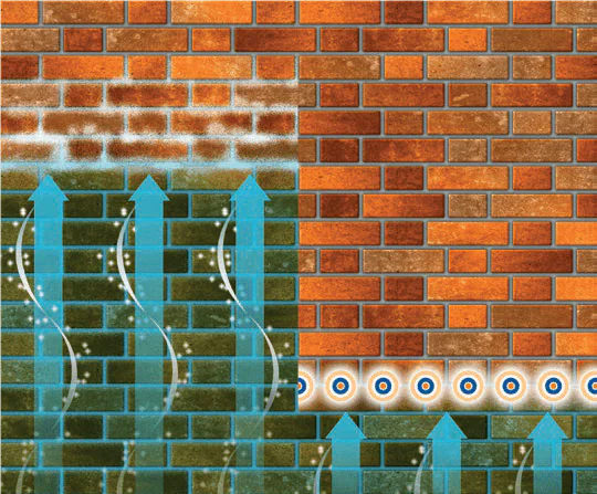 Rising damp and salt damage to walls Rising damp and salt damage to walls