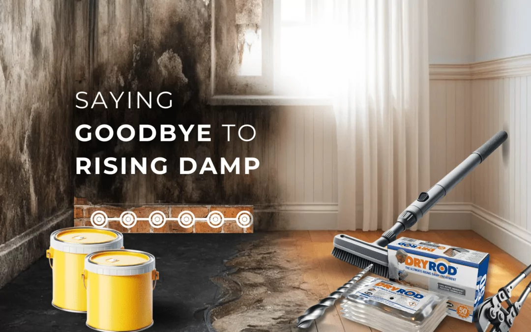 Tackling Damp This Season