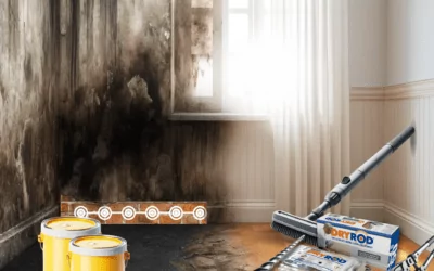 Dryrod Damp-Proofing Rods